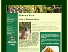 Tablet Screenshot of bluecapsllamas.co.uk